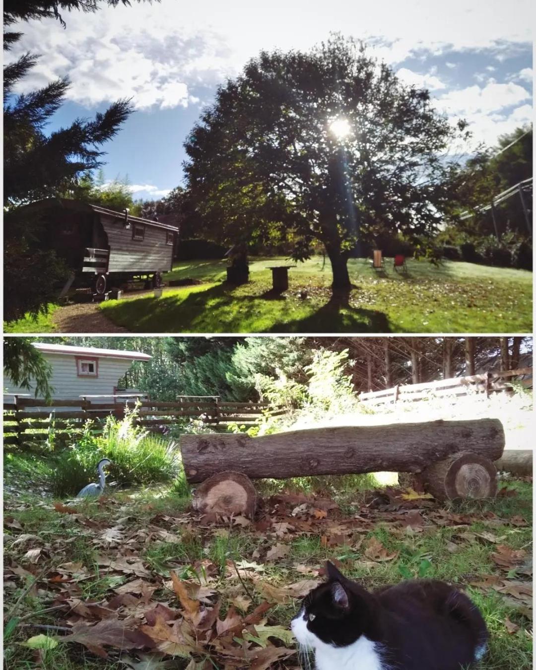 Tente Trappeur Ada, Au Jardin De La Vouivre Saint-Vincent-en-Bresse Εξωτερικό φωτογραφία