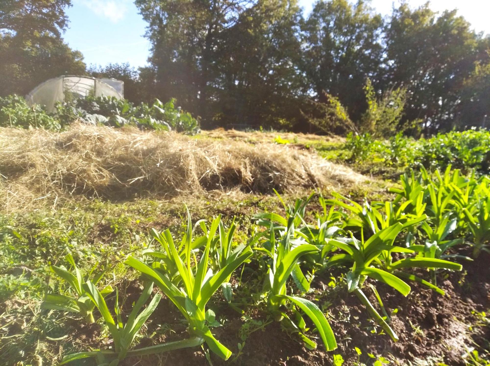 Tente Trappeur Ada, Au Jardin De La Vouivre Saint-Vincent-en-Bresse Εξωτερικό φωτογραφία