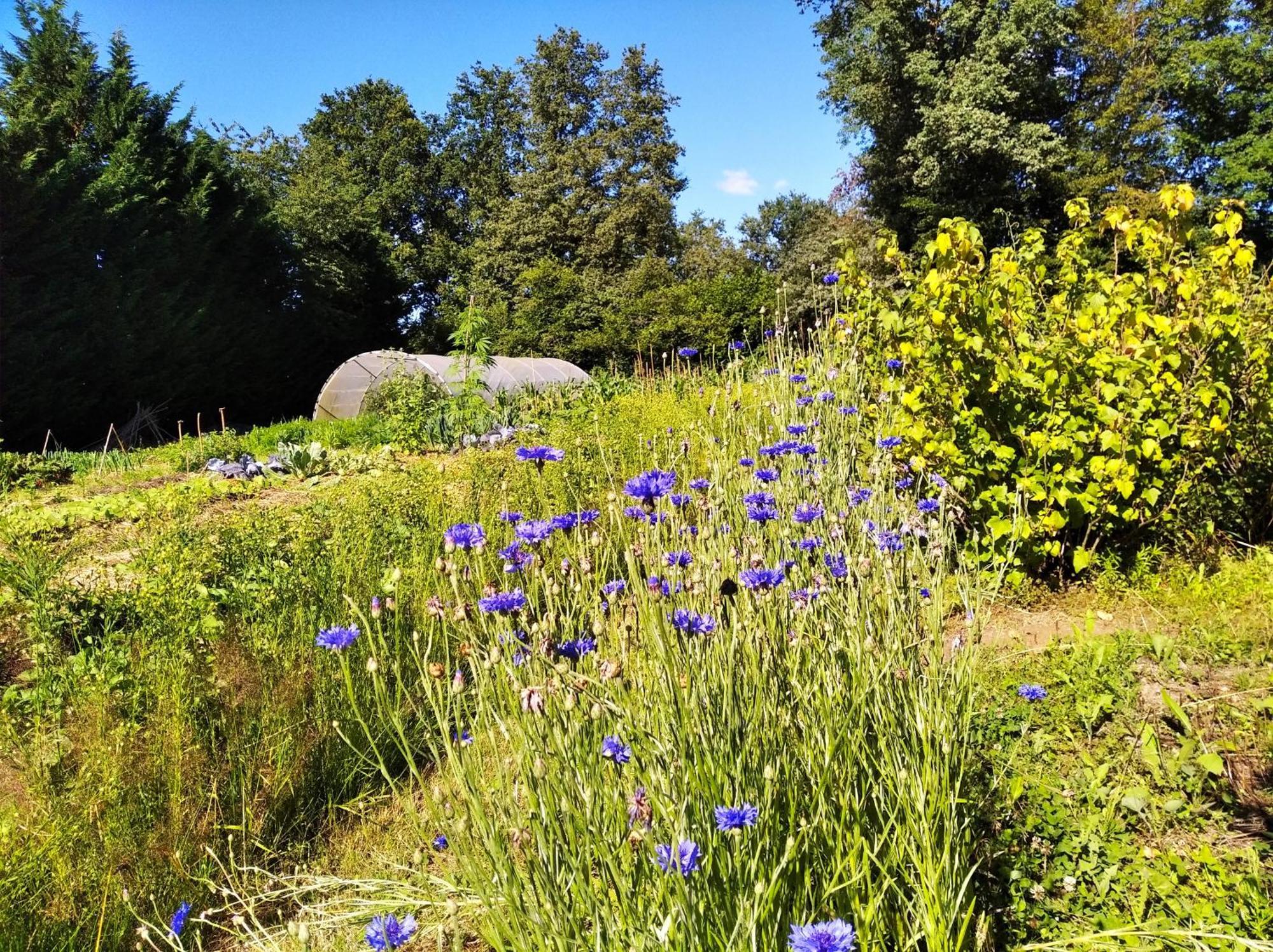 Tente Trappeur Ada, Au Jardin De La Vouivre Saint-Vincent-en-Bresse Εξωτερικό φωτογραφία
