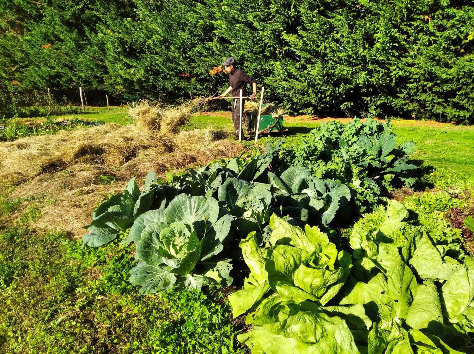 Tente Trappeur Ada, Au Jardin De La Vouivre Saint-Vincent-en-Bresse Εξωτερικό φωτογραφία