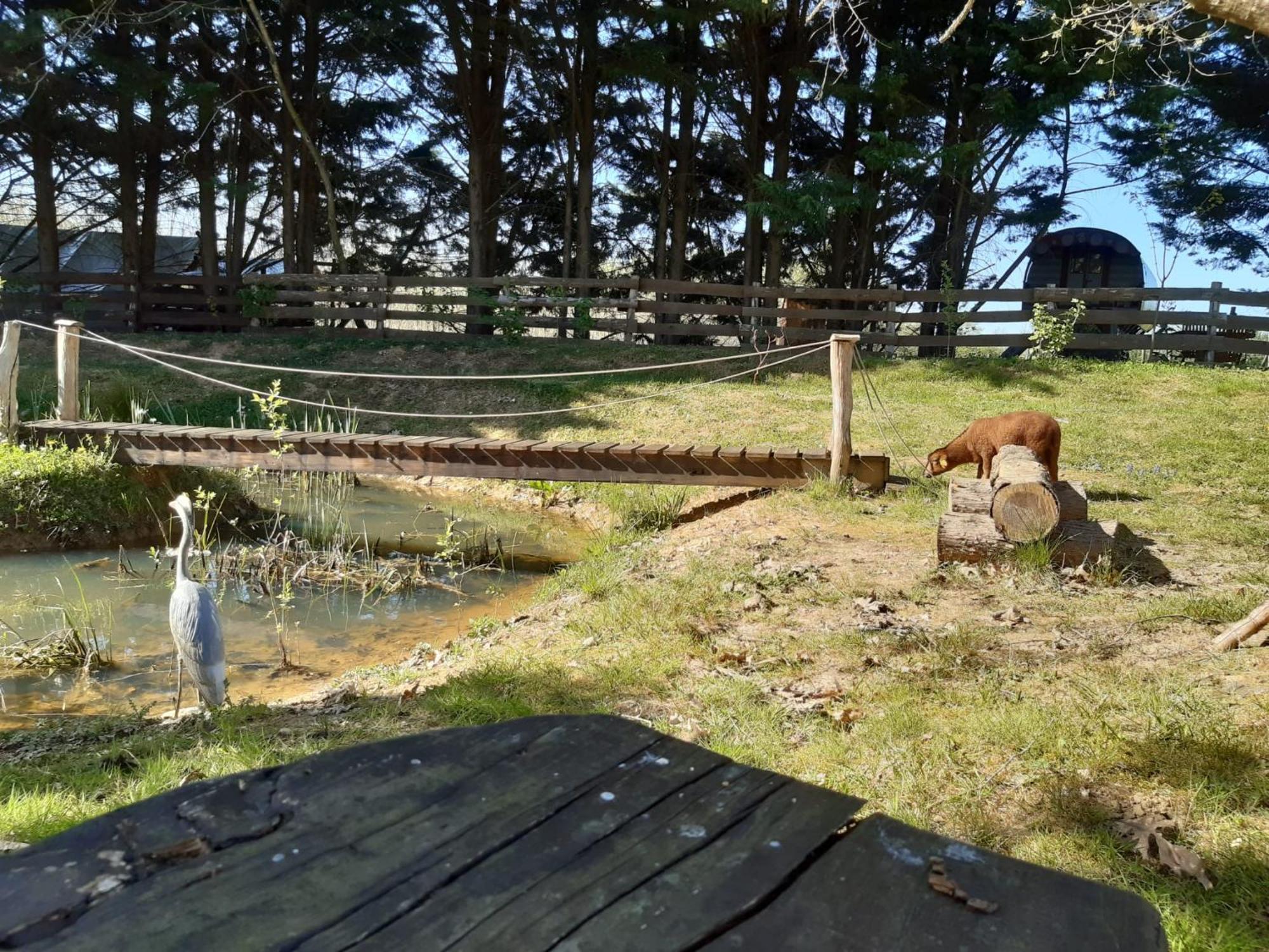 Tente Trappeur Ada, Au Jardin De La Vouivre Saint-Vincent-en-Bresse Εξωτερικό φωτογραφία