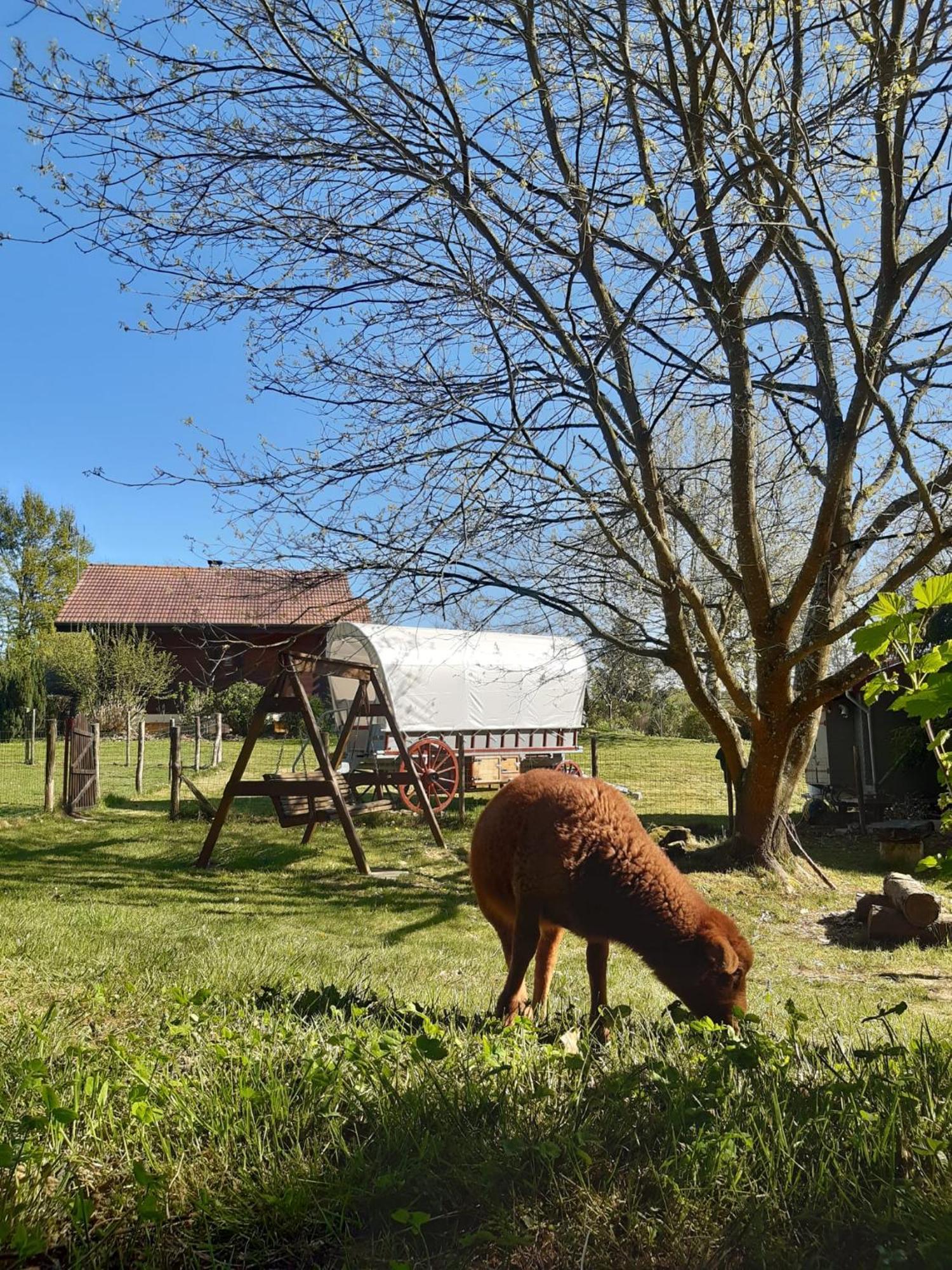 Tente Trappeur Ada, Au Jardin De La Vouivre Saint-Vincent-en-Bresse Εξωτερικό φωτογραφία